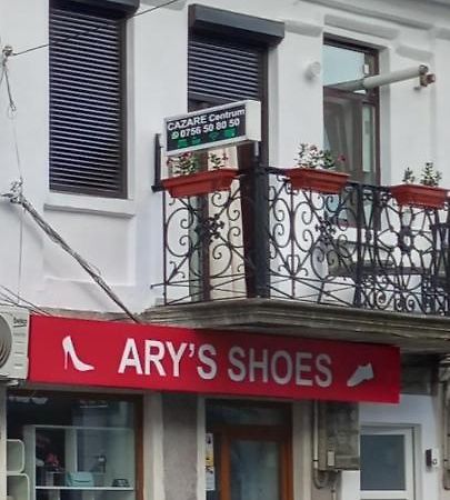 Cazare Centrum Curtea de Argeş エクステリア 写真