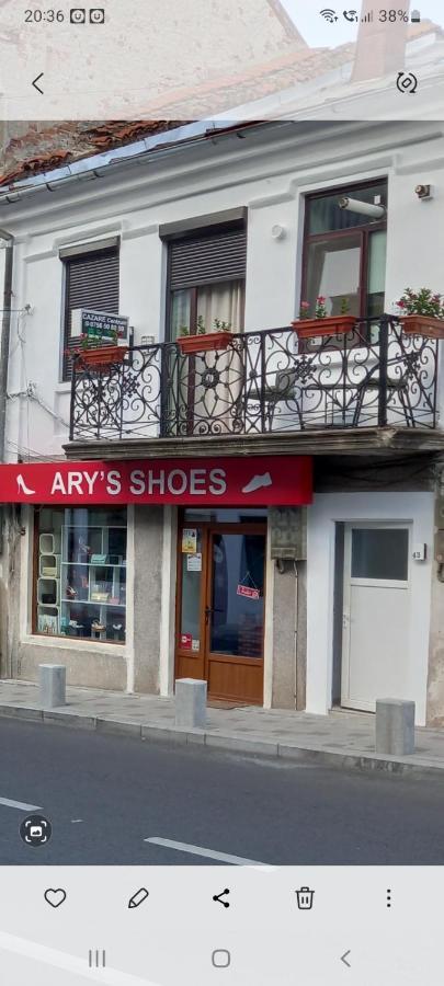 Cazare Centrum Curtea de Argeş エクステリア 写真